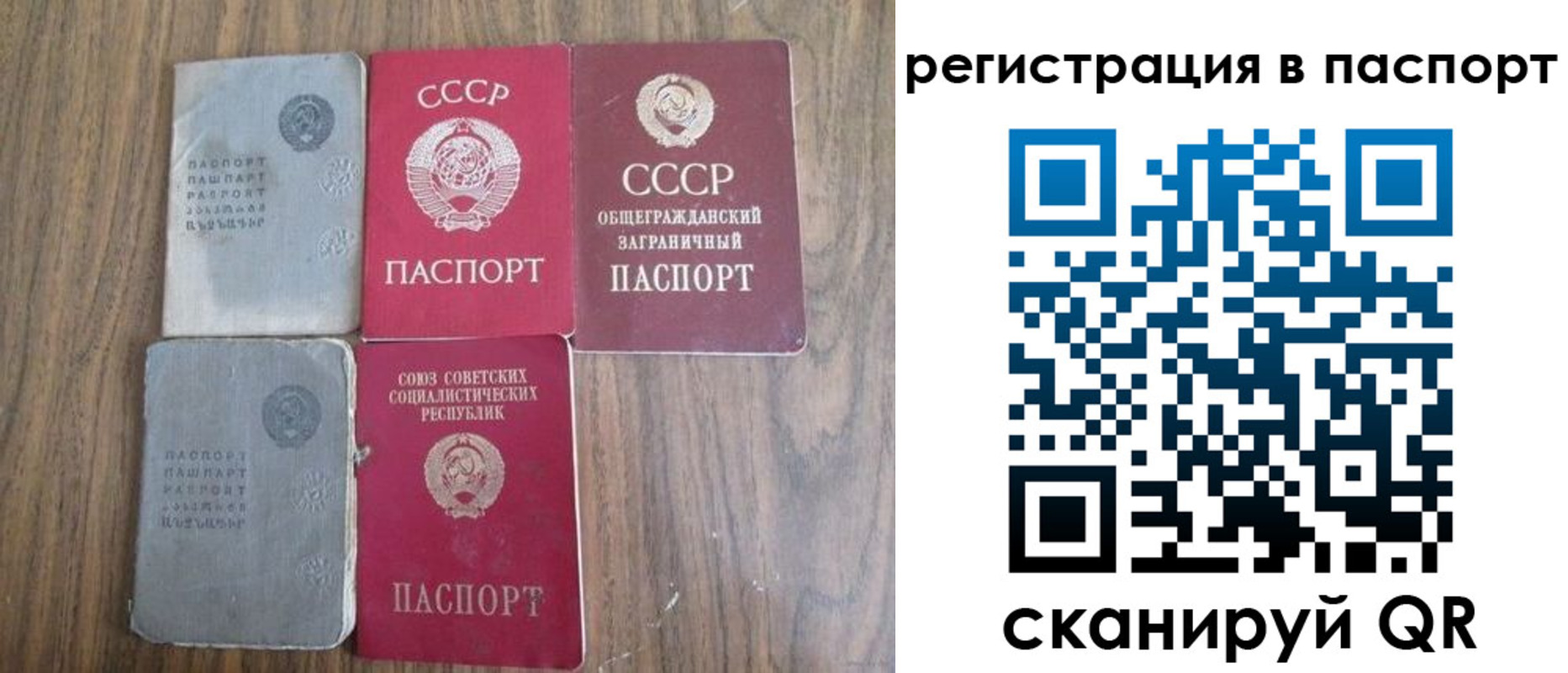 временная регистрация госуслуги в Александровске-Сахалинском